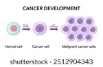 Cancer development. Normal cells are transformed into cancer. Carcinogenesis from Genetic mutations in healthy cell to Malignant cancer cells.