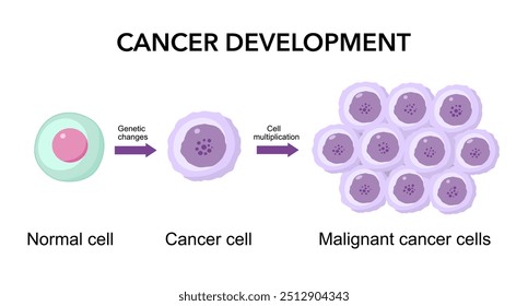 Desenvolvimento de câncer. Células normais são transformadas em câncer. Carcinogênese de mutações genéticas em células saudáveis para células cancerosas malignas.