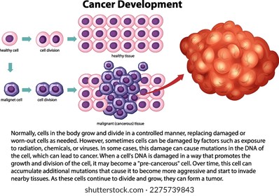Cancer Development vector with information illustration