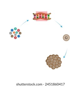 Cancer disease. Carcinogens, DNA damage. Malignant tumor. Medical biological, scientific vector illustration.