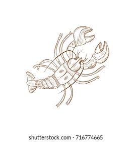 Cancer of the river. Solid color pattern. Sketch. before.