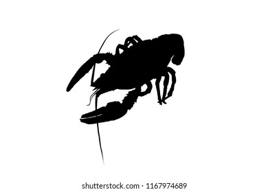 cancer silhouette of crayfish, crayfish icon, lobster sign, crayfish symbol Black and white. Vector illustration.