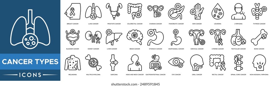 Cancer types icon. Breast Cancer, Lung Cancer, Prostate , Colorectal , Ovarian , Pancreatic Cancer, Skin and Leukemia