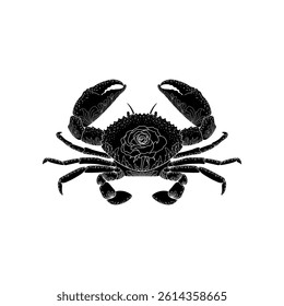 Cancer Zodiac, crab vector illustration.