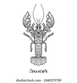 Cancer, Zodiac sign. Astrological horoscope collection. Outline vector illustration. Outline hand drawing coloring page for the adult coloring book. 