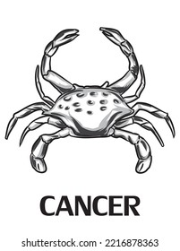 Cancer Zodiac sign sketch art isolated on white background in vector illustration