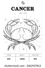 Cancer. Zodiac simbol. Astrology sign, vector outline illustratoin