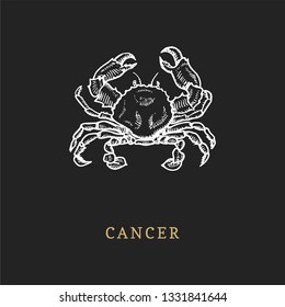 Cancer zodiac symbol, hand drawn in engraving style. Vector graphic retro illustration of astrological sign Crab.