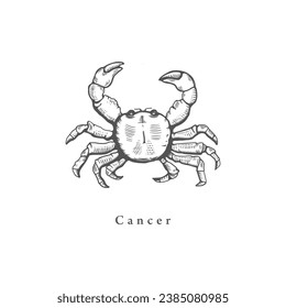 Cancer zodiac symbol, hand drawn in engraving style. Vector illustration of astrological sign Crab.