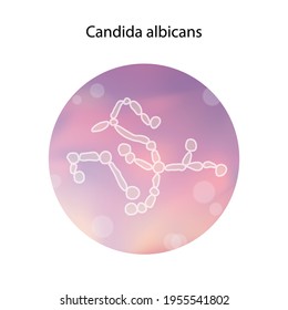 Candida albicans. Thrush infection. Medical isolated vector illustration.