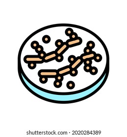 candida bacteria color icon vector. candida bacteria sign. isolated symbol illustration