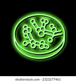 candida fungi albicans neon light sign vector. candida fungi albicans illustration