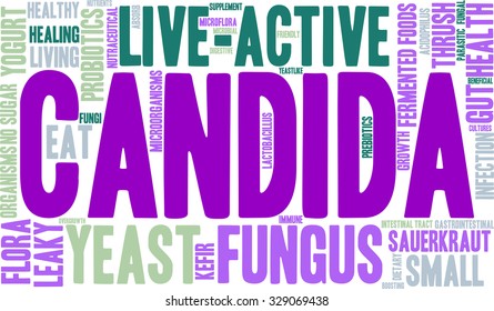 Candida Word Cloud On A White Background. 