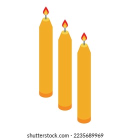 Candle fire icon isometric vector. Aromatic wax. Spa decoration