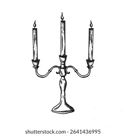 candlelight dinner illustration hand draw style in vintage engraved sketch outline style.