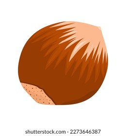 Candlenut Fruit Is A Fruit That Has A Distinctive Bitter Taste And Is Usually Processed Into Food. This Fruit Grows A Lot In Tropical Climates
