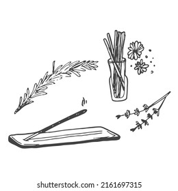 Candles Aromatherapy -vector lineart picture. Outline. Scented candles, star anise, cloves and cinnamon sticks