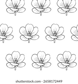 Candytuft or Iberis sempervirens flower Seamless Pattern Hand drawn vector line art, Black and White Flower isolated in white. Beautiful design for textile, wallpaper, wrapping paper