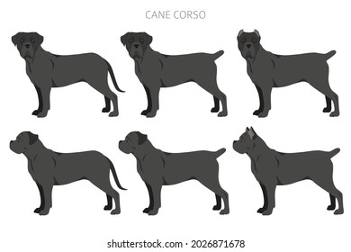 Caña de corso clipart. Postas diferentes, colores de abrigo.  Ilustración del vector