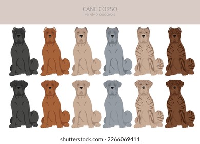 Caña de corso clipart. Postas diferentes, colores de abrigo.  Ilustración del vector