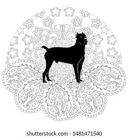 Cane Corso dog, black, surrounded by abstract ornament. Zenart. Anti-stress coloring.