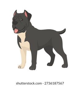 Cane Corso dog cartoon vector illustration isolated on white background. Strong and muscular Italian mastiff breed with a confident stance, dark gray coat, cropped ears, and friendly expression. Ideal for dog breed concepts, pet illustrations, guard dog themes, mascots, icons, stickers, branding, and animal-related graphic designs.