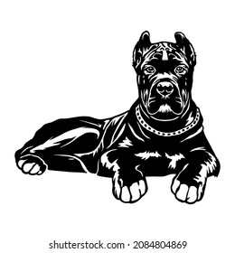 Cane Corso dog clipart. Young puppy Corso vector illustration file for cutting. Black dog animals svg