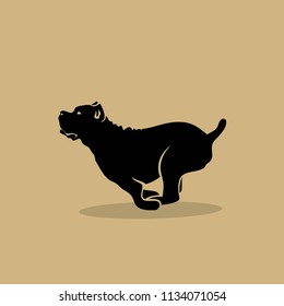 Cane Corso dog - isolated vector illustration