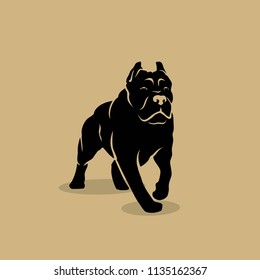 Cane Corso dog - isolated vector illustration