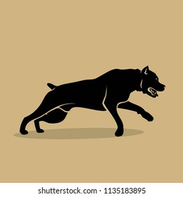 Cane Corso dog - isolated vector illustration