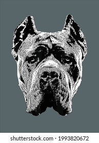 Cane Corso Dog Italian Mastiff Head design vector illustration for use in design and print poster canvas