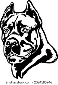 Cane Corso Dog Portrait Vector Illustration On White.