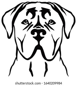 12,254 Cane corso Images, Stock Photos & Vectors | Shutterstock