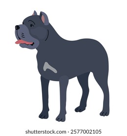 Cane corso icon clipart avatar logotype isolated illustration