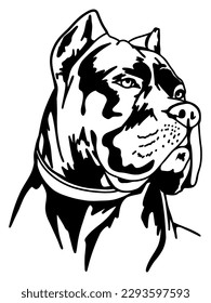 Cane corso italiano. Monochrome vector portrait of Italian Mastiff. Dog head. Black and white illustration isolated on white background. Pet.