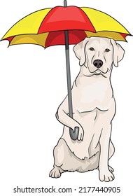 cane corso, labrador, dog, golden retriever on the beach with umbrella,  summer holiday, drawing vector illustration doggie