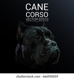 Cane Corso low poly design.Vector Illustration.