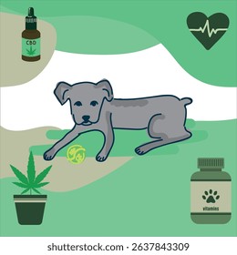 Cane Corso puppy vector with dog vitamins, cannabidiol (CBD) drops, cannabis plant, and heart cardiogram on eco green background for pet health awareness.