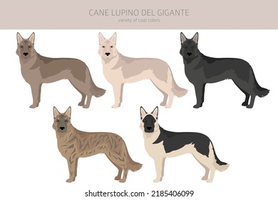 Cane Lupino del Gigante clipart. Different poses, coat colors set.  Vector illustration