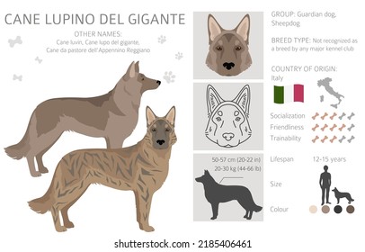 Cane Lupino del Gigante clipart. Different poses, coat colors set.  Vector illustration