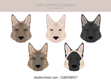 Cane Lupino Del Gigante Clipart Different Stock Vector (Royalty Free ...