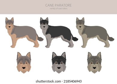 Cane Paratore clipart. Postas diferentes, colores de abrigo.  Ilustración del vector