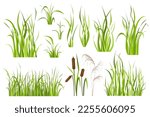 Cane and reed plant set graphic elements in flat design. Bundle of green grass of sedge, cattail, swamp herbs, other marsh grass for wetland landscape decoration. Vector illustration isolated objects