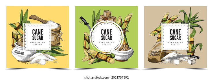 Cane sugar decorative colorful hand drawn backgrounds set with labels for text and brand name, vintage engraving vector illustration. Cane sugar labels.