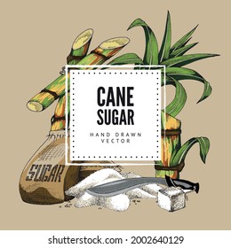 Cane sugar hand drawn decorative frame or banner with sugarcane plant elements, engraving vintage vector illustration isolated on background. Sugar sweet natural product.