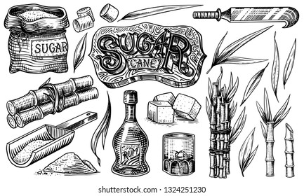 Cane sugar with leaves. Set of Sugarcane plants. Stalks and bottle of rum, Wooden plate spoon, Cubes and juice, Bamboo, signboard inscription. Engraving Hand drawn food and natural ingredients.