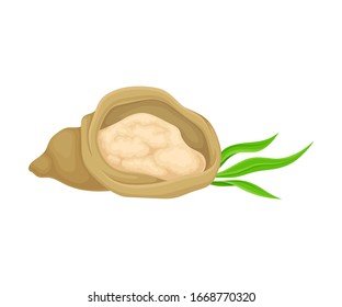 Cane Sugar in Sack Isolated on White Background Vector Illustration