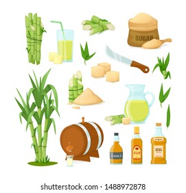 Cane sugar with stem and leaf plants. Fresh squeezed sugarcane in glass with stalks, cubes, glass bottles of rum, bamboo, rum alcoholic liquid. Natural organic product food vector cartoon illustration