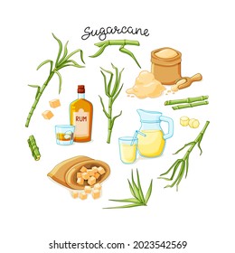 Cane sugar with stem and leaf plants and products set on a white background. Freshly squeezed cane juice in a jug, cubes, a bottle of rum, bamboo, molasses. A natural organic product. Vector