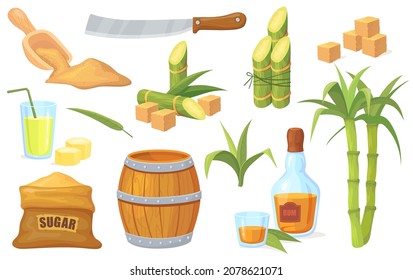 Cane sugar stem. Sugarcane plants, agriculture Natural organic product, bamboo leaf plant, fresh sweet juice, glass and bottle rum, raw brown cubes, vector neat flat icon. Illustration of sugar sweet